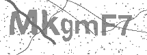 visual captcha